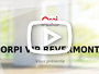 Video promotion