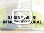 Video promotion